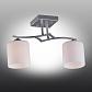 Потолочная люстра Omnilux Pisticci OML-55307-02 - фото №4