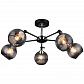 Потолочная люстра Seven Fires Majerato 66388.01.13.05 - фото №1