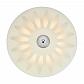 Потолочный светодиодный светильник Markslojd Petal 107165 - фото №1