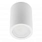 Потолочный светильник Fametto Sotto DLC-S601 GU10 White - фото №1