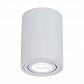 Потолочный светильник Maytoni Alfa C016CL-01W - фото №4