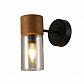 Бра F-Promo Torr 2633-1W - фото №2