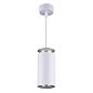 Подвесной светодиодный светильник Elektrostandard DLS021 9+4W 4200К белый матовый/серебро a045502 - фото №1