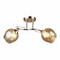 Потолочная люстра Milosh Tendence 0669CL-2GD - фото №1