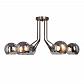 Потолочная люстра Vitaluce V4871-7/6PL - фото №3