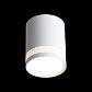 Потолочный светодиодный светильник ST Luce Cerione ST101.502.12 - фото №3