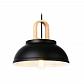 Подвесной светильник Ambrella light Traditional TR8192 - фото №1