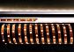 Лента светодиодная Deko-Light 5050-30-24V-4000K-5m-copper 840245 - фото №1