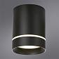 Потолочный светодиодный светильник Arte Lamp Elle A1949PL-1BK - фото №2