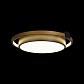 Потолочный светодиодный светильник Loft IT Mike 10169 - фото №3