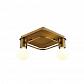 Потолочная люстра Italline Vega PL 6088/2 bronze - фото №1