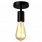 Потолочный светильник Arte Lamp A9184PL-1BK - фото №1