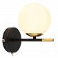 Бра Arte Lamp Alcor A2224AP-1BK - фото №1
