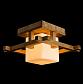 Потолочный светильник Arte Lamp 95 A8252PL-1BR - фото №2