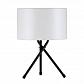 Уличный светодиодный светильник Paulmann Tripod 94173 - фото №1