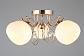 Потолочная люстра Omnilux Martello OML-25207-05 - фото №4