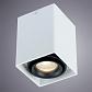 Потолочный светильник Arte Lamp A5655PL-1WH - фото №2