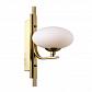 Бра Favourite Pernetti 2513-1W - фото №3