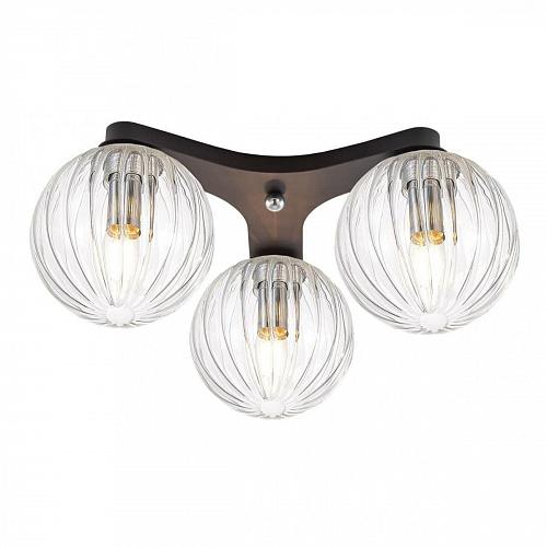 Потолочная люстра Citilux Коптер CL116131