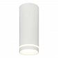 Потолочный светодиодный светильник Escada 20009SMU/02LED SWH - фото №1