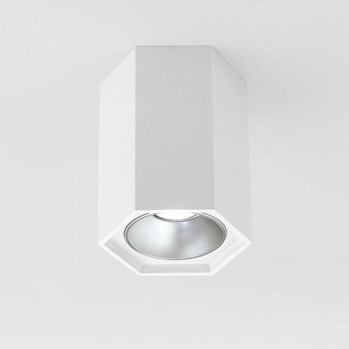 Потолочный светодиодный светильник Elektrostandard 25036/Led a055856