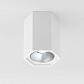 Потолочный светодиодный светильник Elektrostandard 25036/Led a055856 - фото №1