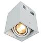 Потолочный светильник Arte Lamp Cardani A5942PL-1WH - фото №1