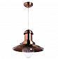 Подвесной светильник Arte Lamp Fisherman A5530SP-1RB - фото №1