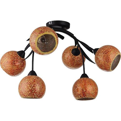 Потолочная люстра Lussole Bagheria GRLSF-6213-06