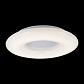 Потолочный светодиодный светильник ST Luce Albo SL902.572.01D - фото №2