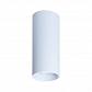 Потолочный светильник TopDecor Tubo8 P2 10 - фото №1