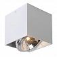 Потолочный светодиодный светильник Lucide Dialo Led 09911/12/31 - фото №2