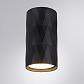 Потолочный светильник Arte Lamp Fang A5557PL-1BK - фото №2