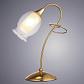 Настольная лампа Arte Lamp Mughetto A9289LT-1GO - фото №2