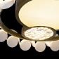 Потолочный светодиодный светильник Loft IT Bride 10173 - фото №2