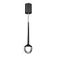 Подвесной светодиодный светильник Elektrostandard DLS028 6W 4200K черный a047768 - фото №1