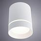 Потолочный светодиодный светильник Arte Lamp A1909PL-1WH - фото №2