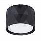 Потолочный светильник Arte Lamp Fang A5552PL-1BK - фото №1