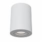 Потолочный светильник Maytoni Alfa C016CL-01W - фото №1