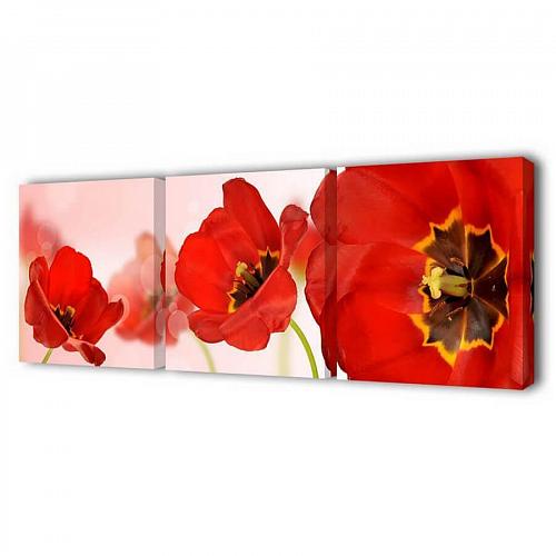 Модульная картина Насыщенные маки Toplight 150х50см TL-M2048