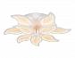 Потолочная светодиодная люстра Ambrella light Original FA460 - фото №3
