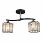 Потолочная люстра Milosh Tendence 0726CL-2BK - фото №1