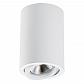 Потолочный светильник Lightstar Rullo 214406 - фото №1