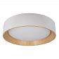 Потолочный светодиодный светильник Loft IT Coin 10202 White - фото №1