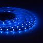 Светодиодная лента Apeyron 4,8W/m 60LED/m 3528SMD синий 5M 01BL - фото №1