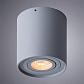 Потолочный светильник Arte Lamp Falcon A5645PL-1GY - фото №2