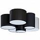 Потолочный светильник TopDecor Family P2 10 01g/02g/06g/05g - фото №2