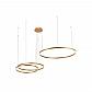 Подвесной светодиодный светильник Loft IT Ring 10017/3S - фото №1