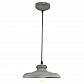 Подвесной светильник Arte Lamp Loft A5025SP-1BG - фото №1