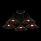 Потолочная люстра Evoluce Ciolla SLE120402-05 - фото №2